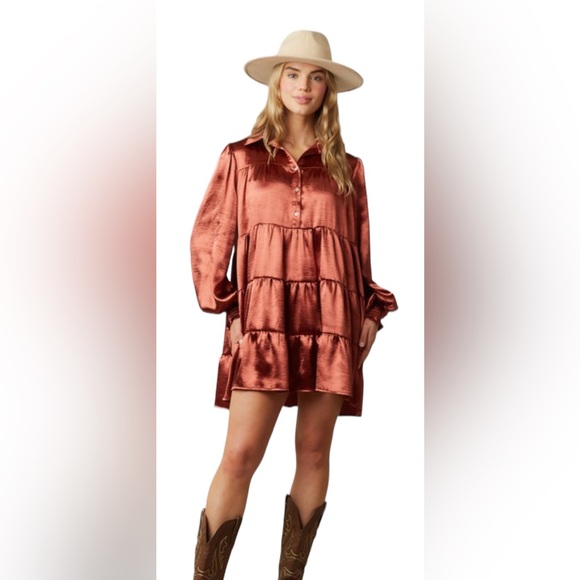 Winter Fall Country Gorgeous Dress w/ Pockets in Bronze NWT - Picture 8 of 12